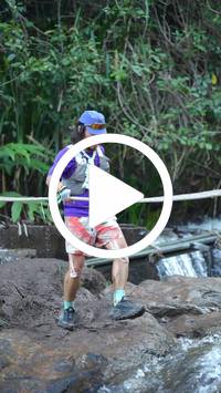 BIB:  <button type="button" onclick="openModal(27742703)" class="btn btn-primary btn-sm float-right" data-toggle="modal" data-target=".modal-high-quality">
                <i class="fa fa-download"></i> Download
                </button>